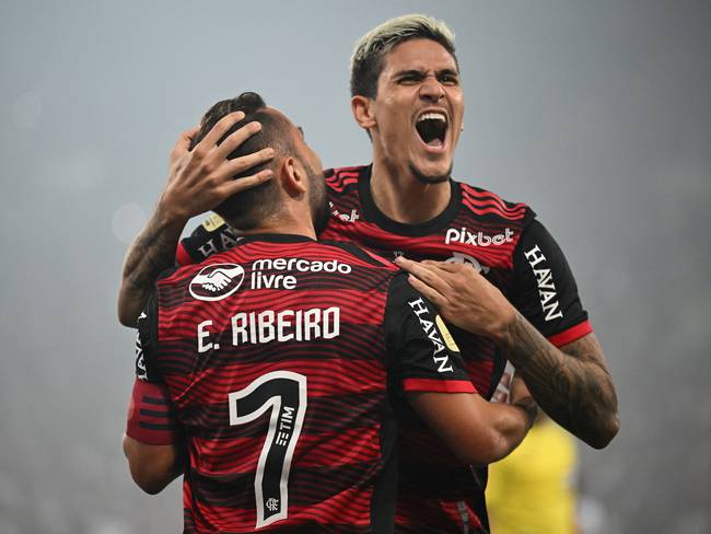 Flamengo, Campeón de la Copa Libertadores