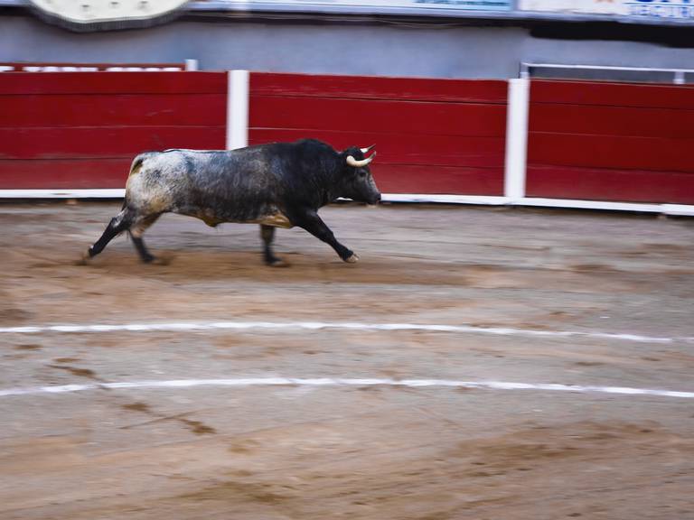 SCJN aprueba el regreso de las corridas de toros a la Plaza México