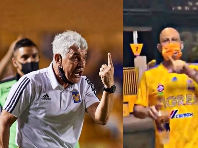 Pleito entre Tuca Ferretti y aficionado de Tigres. Foto: Especial