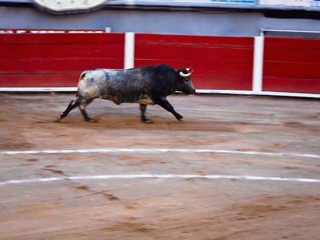 SCJN aprueba el regreso de las corridas de toros a la Plaza México