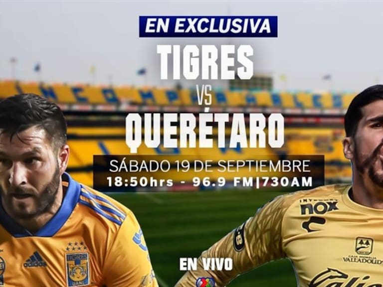 Tigres vs Gallos . Foto: Wdeportes