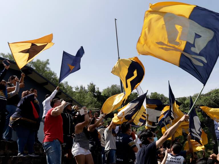 Pumas, líder de la Liga MX en Instagram