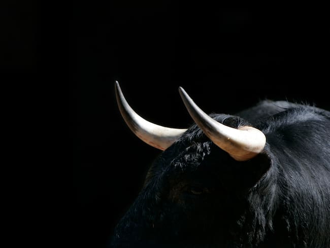 Suspenden Corridas de Toros en CDMX
