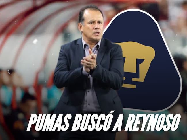 Pumas: Juan Reynoso, primer contacto en busca de un nuevo DT