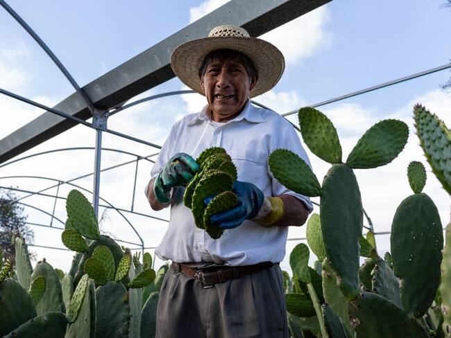 Se actualiza subsidio para el empleo en beneficio del salario de 8.2 millones de personas trabajadoras