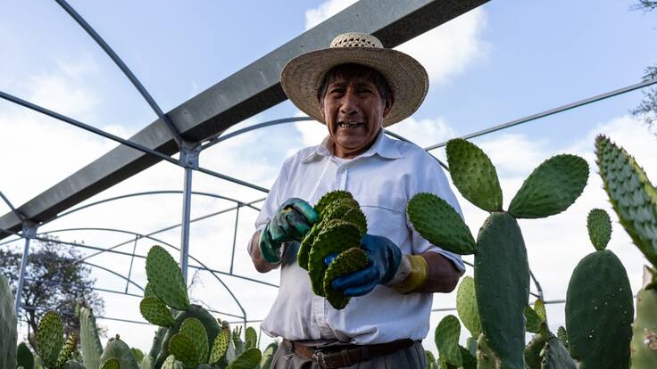 Se actualiza subsidio para el empleo en beneficio del salario de 8.2 millones de personas trabajadoras