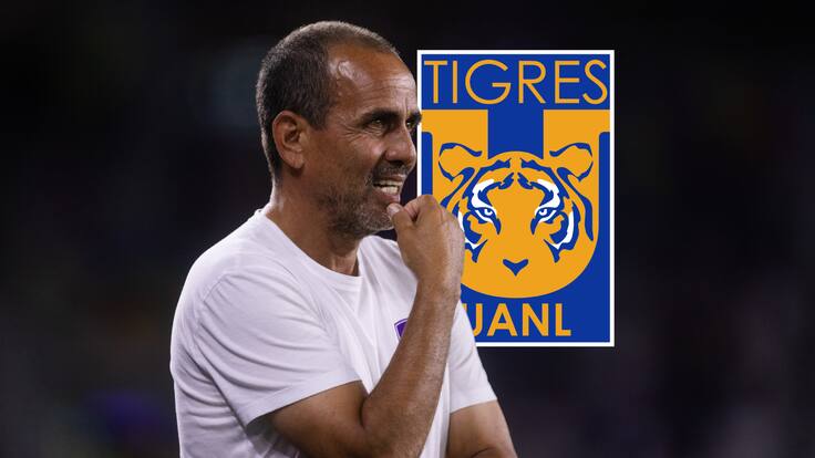 Tigres: ¿Óscar Pareja una opción verdadera para los Felinos?