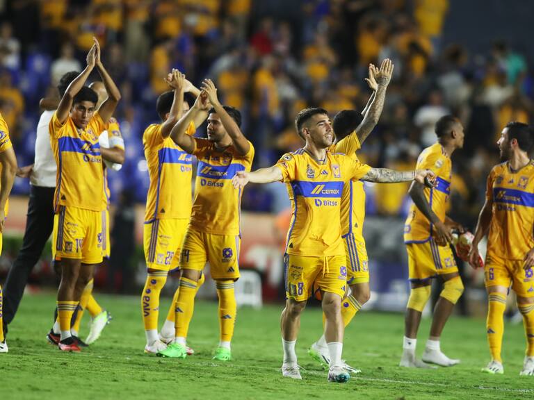 Tigres Futbol Mexicano