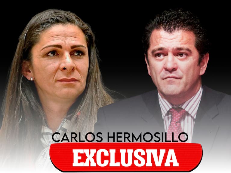 Carlos Hermosillo habló de la polémica de Ana Guevara