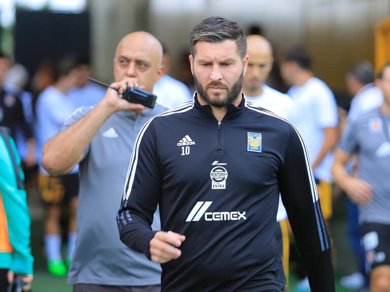 Los Tres Tristes Tigres le componen corrido a Gignac