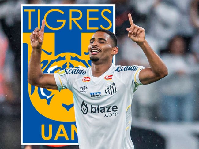 Liga MX: ¿Quién es Joaquim Henrique, nuevo refuerzo de Tigres para el Apertura 2024?