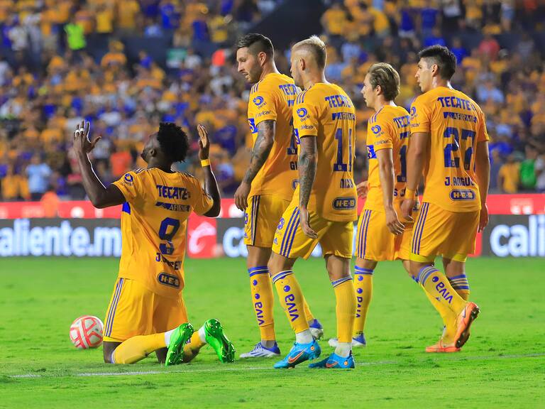 Victoria felina en el Volcán