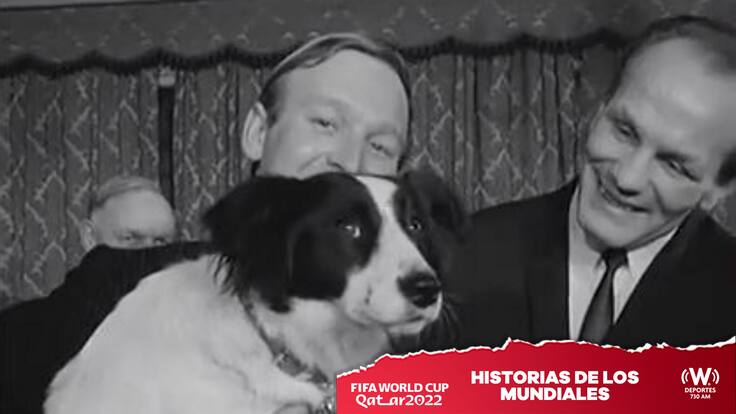 Pickels, el perro que encontró la Copa del Mundo robada