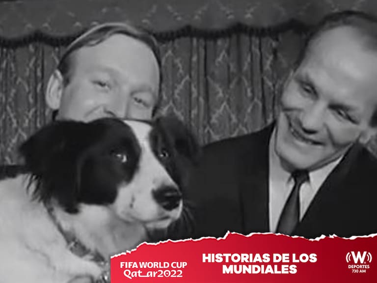 Pickles: El perro que ganó la Copa del Mundo