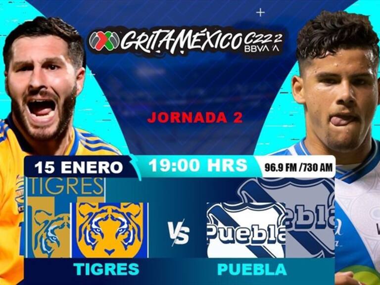 tigres vs puebla . Foto: wdeportes