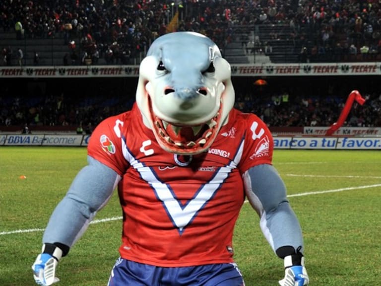 Veracruz Tiburón . Foto: mexsport