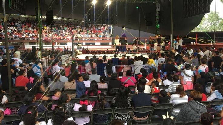 Mikel "el paladín de la justicia"