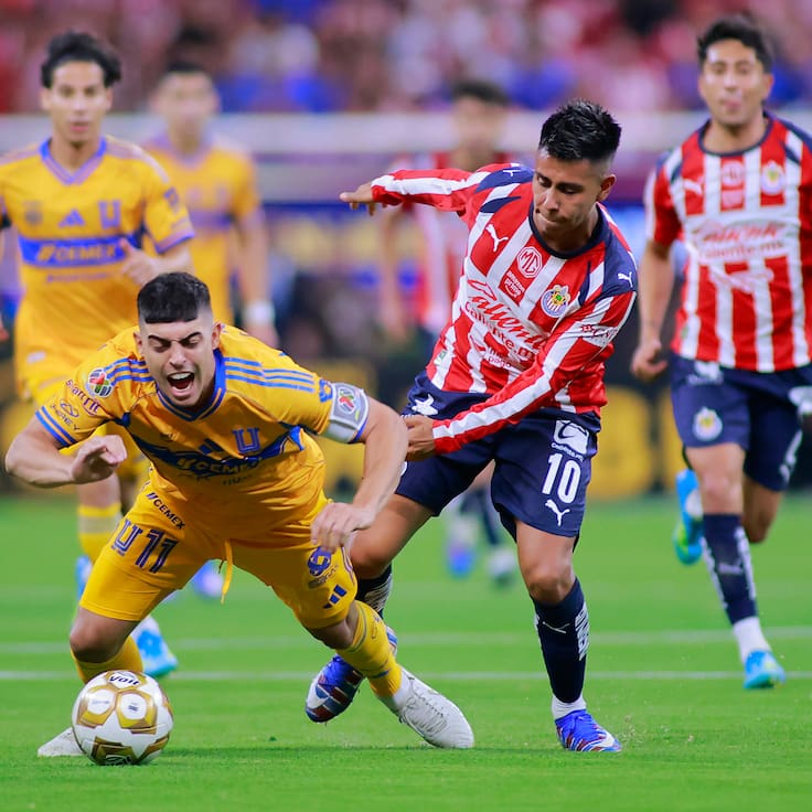 Chivas vs Tigres EN VIVO: alineaciones, dónde, cuándo y a qué hora ver la Fecha 12 de la Liga MX