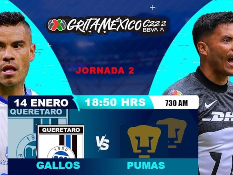 Gallos vs Pumas . Foto: wdeportes
