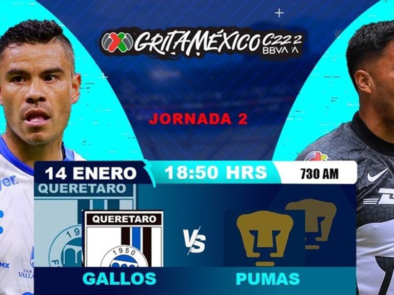 Gallos vs Pumas . Foto: wdeportes