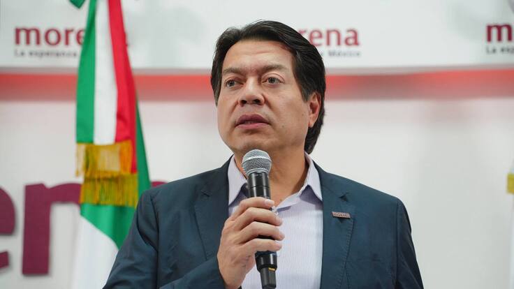 LA “MAREA ROSA” SIEMPRE FUE UNA FARSA, DESDE EL PRINCIPIO TUVO UN ORIGEN PARTIDISTA: MARIO DELGADO