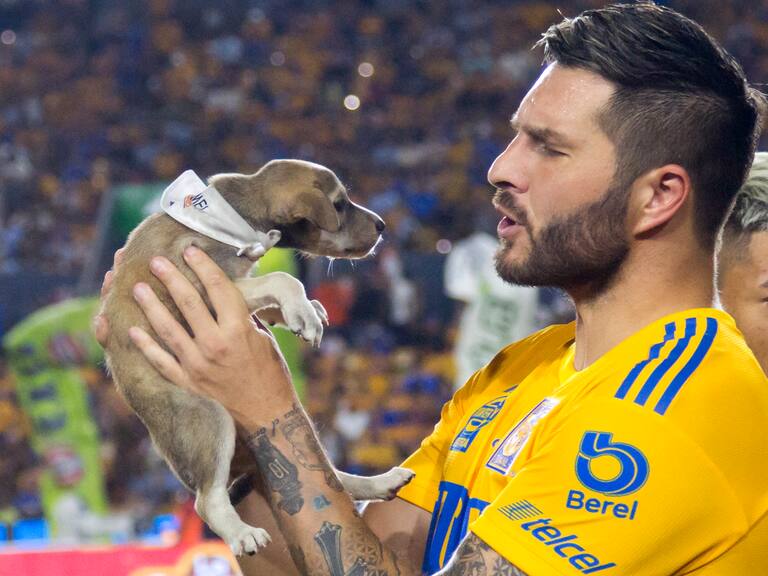 Tigres derrotó a Atlas