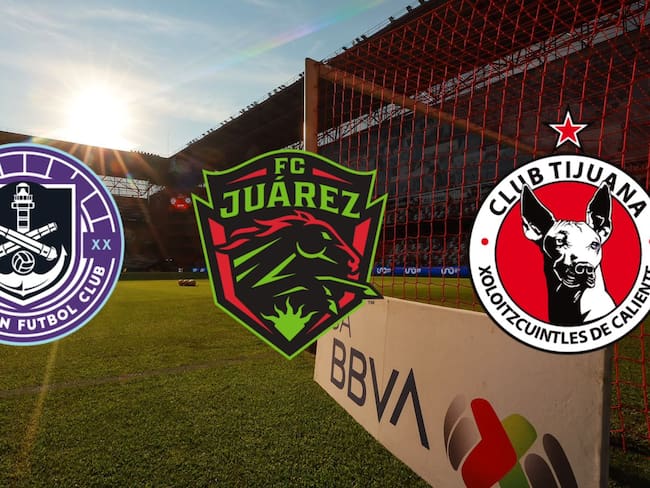 ¿Cuánto pagarán los equipos por las multas de la tabla de cocientes de Liga MX?