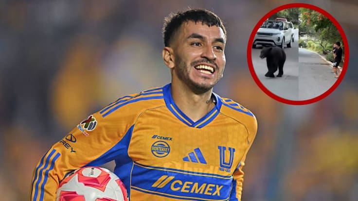 Ángel Correa se enfrenta a un oso negro en Monterrey durante paseo familiar