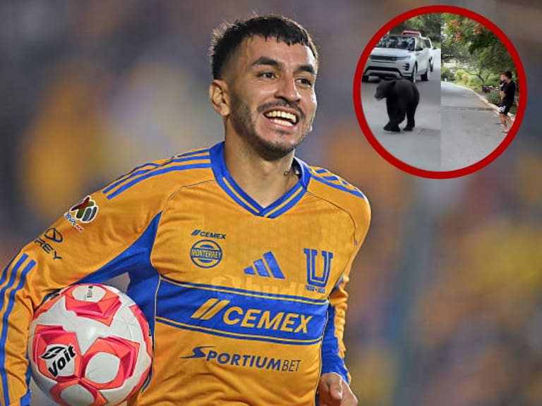 Ángel Correa se enfrenta a un oso negro en Monterrey durante paseo familiar