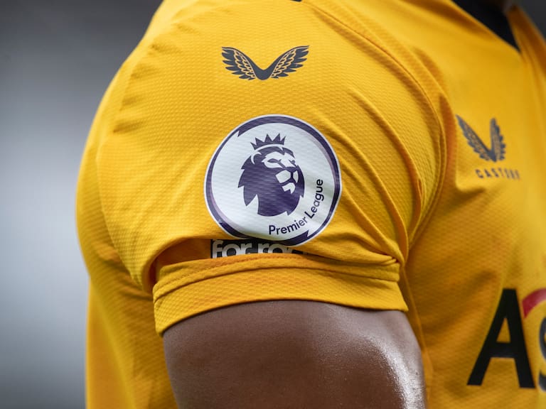 Wolverhampton Wanderers player during the Premier League