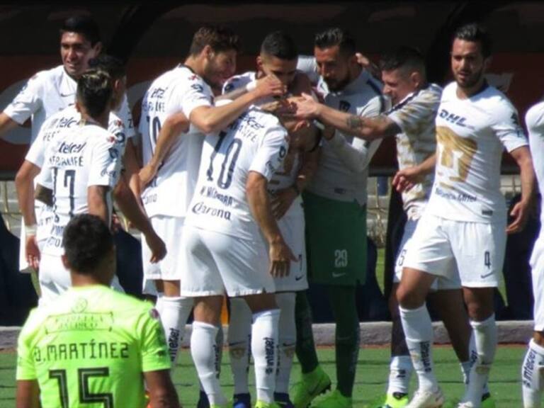 Pumas. . Foto: