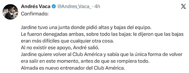 André Jardine América
