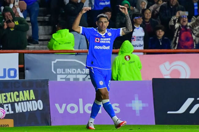 Toro Fernández