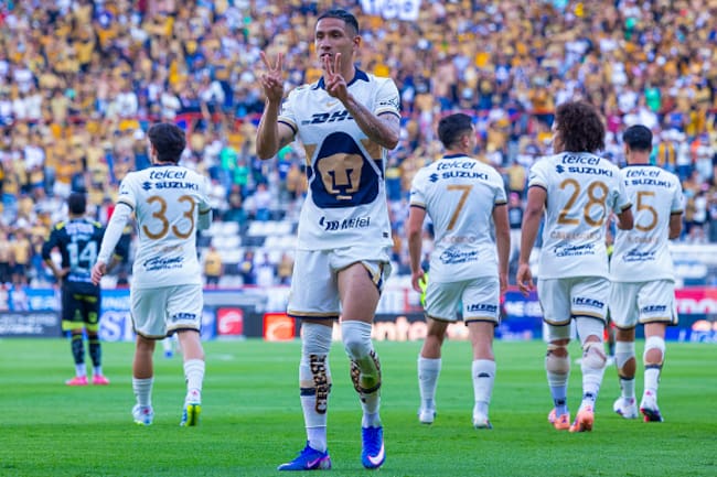 Pumas
